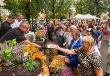 Niepołomice. „Grill u Burmistrza” w Parku Miejskim – ZDJĘCIA