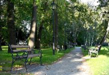 Bochnia. Odnowione Planty Salinarne bez monitoringu. Kiedy zostanie wykonany?