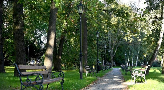 Bochnia. Odnowione Planty Salinarne bez monitoringu. Kiedy zostanie wykonany?