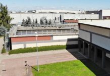 Śnięte ryby w Wiśle – stanowisko spółki Infrastruktura Niepołomice