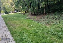 Bochnia. Urzędnicy ponownie analizują lokalizacje i zakres psich wybiegów