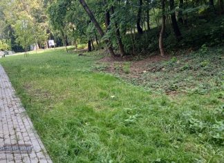 Bochnia. Urzędnicy ponownie analizują lokalizacje i zakres psich wybiegów