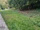 Bochnia. Urzędnicy ponownie analizują lokalizacje i zakres psich wybiegów