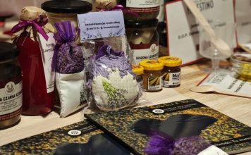 Powiat Bocheński na 22. Europejskim Tygodniu Miast i Regionów w Brukseli