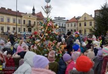 Bocheński Rynek w świątecznej odsłonie. Przedszkolaki przystroiły 20 choinek – ZDJĘCIA