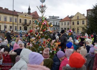 Bocheński Rynek w świątecznej odsłonie. Przedszkolaki przystroiły 20 choinek – ZDJĘCIA