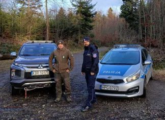 Choinki pod ochroną: policja i strażnicy leśni kontrolują powiat bocheński