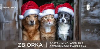 Niepołomice dla psiaków – zimowa zbiórka na rzecz schroniska w Łętkowicach