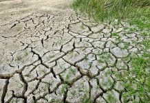 Bochnia opracuje Miejski Plan Adaptacji do zmian klimatu. Radny: „Uzasadnienie do tej uchwały jest skandaliczne”