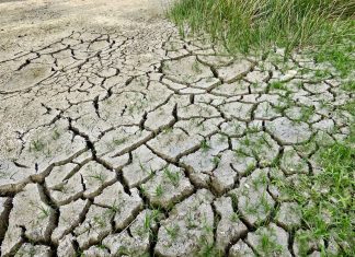 Bochnia opracuje Miejski Plan Adaptacji do zmian klimatu. Radny: „Uzasadnienie do tej uchwały jest skandaliczne”