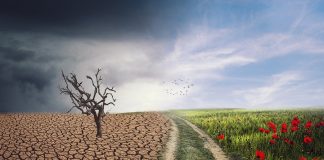 Bochnia. W starostwie powstało Biuro ds. Świadomości Ekologicznej i Klimatycznej