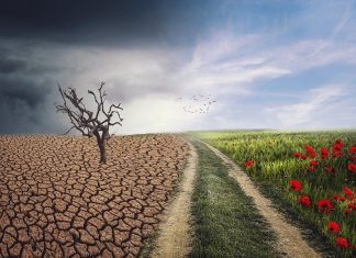 Bochnia. W starostwie powstało Biuro ds. Świadomości Ekologicznej i Klimatycznej