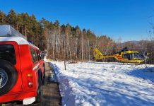 Tragedia w Czchowie: Mężczyzna zginął podczas prac w lesie