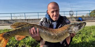 Wędkarstwo. Koło PZW Bochnia Miasto zachęca do opłacenia zezwoleń i składek