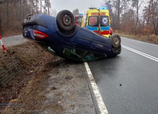 Pięć osób rannych w wypadku na drodze wojewódzkiej nr 768 w miejscowości Rudy-Rysie