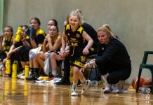 W Bochni trwa Festiwal Koszykówki. 8-letnia Nela skradła serca kibiców – ZDJĘCIA, WIDEO