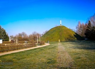 Niepołomice. Kopiec Grunwaldzki zazieleni się dzięki wsparciu InPost
