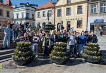 Bochnia wita wiosnę. Wspólne sadzenie kwiatów na Rynku – ZDJĘCIA