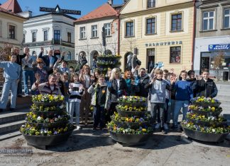 Bochnia wita wiosnę. Wspólne sadzenie kwiatów na Rynku – ZDJĘCIA