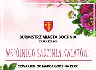 W czwartek akcja wspólnego sadzenia kwiatów na Rynku w Bochni