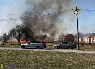 Groźny pożar traw w Niepołomicach. Ogień zagrażał domom