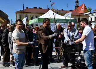 Rynek w Bochni. IV Powiatowy EKOPiknik – ZDJĘCIA i WIDEO