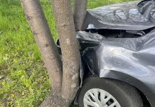 Brzesko. 69-latka z ponad 3 promilami uderzyła w drzewo. Świadkowie powstrzymali dalszą jazdę