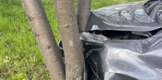 Brzesko. 69-latka z ponad 3 promilami uderzyła w drzewo. Świadkowie powstrzymali dalszą jazdę