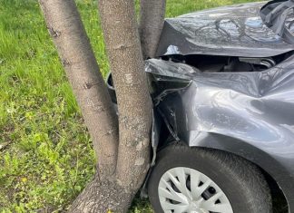 Brzesko. 69-latka z ponad 3 promilami uderzyła w drzewo. Świadkowie powstrzymali dalszą jazdę