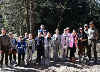 Kilkaset nowych drzew posadzono w ramach akcji „Drzewo dla klimatu”