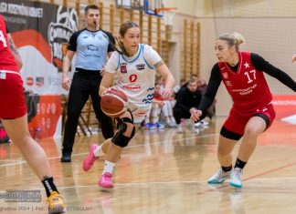 Koszykówka. Z Małopolski nie tylko Bochnia – Wisła Kraków też zagra w Ekstraklasie?