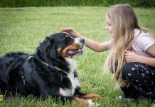 Już 25 maja II edycja wydarzenia „Z psem i kotem weselej w Niepołomicach”