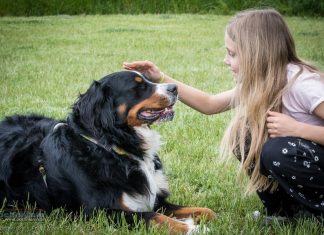 Już 25 maja II edycja wydarzenia „Z psem i kotem weselej w Niepołomicach”
