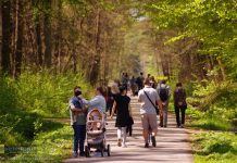WyPUSZCZAMY SIĘ W LAS – edukacyjne lato w Puszczy Niepołomickiej