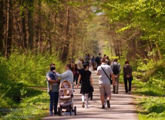 WyPUSZCZAMY SIĘ W LAS – edukacyjne lato w Puszczy Niepołomickiej