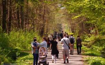 WyPUSZCZAMY SIĘ W LAS – edukacyjne lato w Puszczy Niepołomickiej