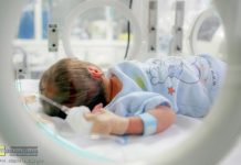 Powiat przekaże 100 tysięcy złotych na mobilny inkubator dla bocheńskiego szpitala