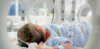 Sejmik Małopolski przyznał 200 tys. zł na zakup mobilnego inkubatora dla bocheńskiego szpitala