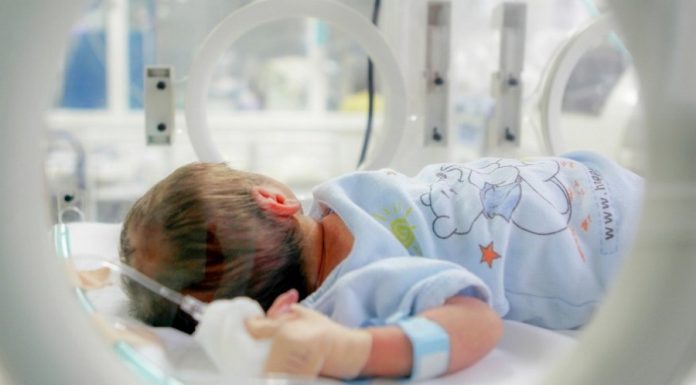 Sejmik Małopolski przyznał 200 tys. zł na zakup mobilnego inkubatora dla bocheńskiego szpitala