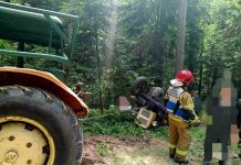 Połom Duży. Poważny wypadek w lesie – 84-latek trafił do szpitala