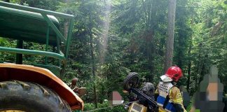 Połom Duży. Poważny wypadek w lesie – 84-latek trafił do szpitala