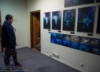 Galeria Bezdomna powraca do Bochni! Artystyczna przestrzeń dla wszystkich – gdzie tym razem?