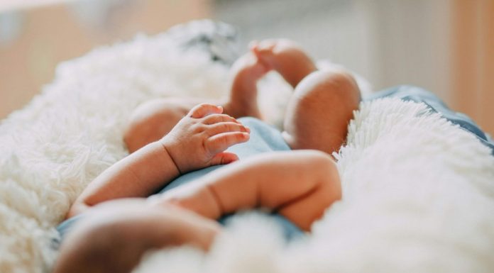 Szpital w Bochni potrzebuje mobilnego inkubatora. Ruszyła zbiórka na jego zakup