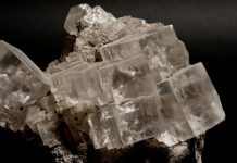 Bryłka soli z Żup Krakowskich poleci w kosmos!