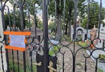 Połamane gałęzie na grobach. Zabytkowy cmentarz w Brzesku zamknięty po wichurze – ZDJĘCIA