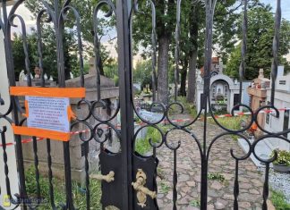 Połamane gałęzie na grobach. Zabytkowy cmentarz w Brzesku zamknięty po wichurze – ZDJĘCIA