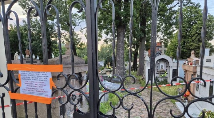 Połamane gałęzie na grobach. Zabytkowy cmentarz w Brzesku zamknięty po wichurze – ZDJĘCIA