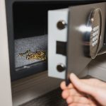 🔸 Domowy sejf antywłamaniowy – inwestycja, która się opłaca!