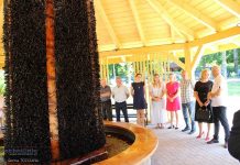 Gmina Trzciana: Nowa tężnia solankowa w Rdzawie już otwarta