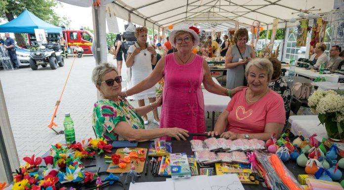 Park Uzbornia w Bochni. „Rodzinna Niedziela z NGO” – ZDJĘCIA